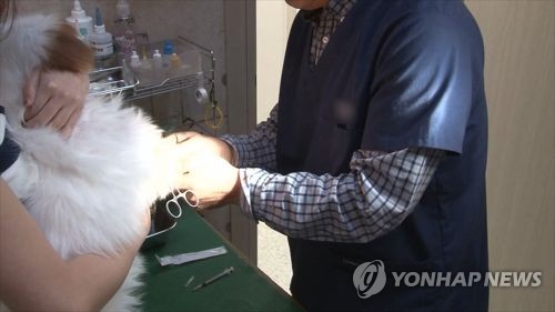 동물병원 진료