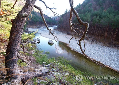 8월의 생태관광지 경북 영양 밤하늘·반딧불이 공원