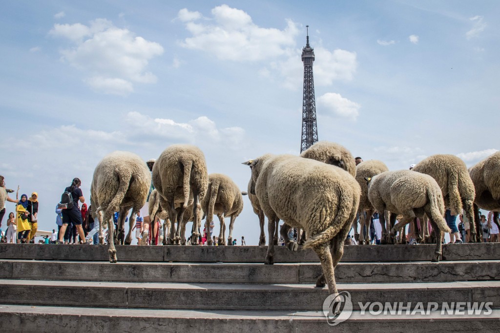 FRANCE-FARMING-AGRICULTURE-CITY-SHEEP