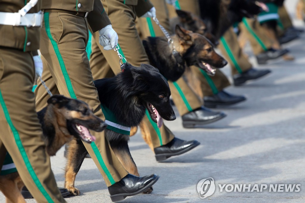 CHILE-INDEPENDENCE-DAY-PARADE