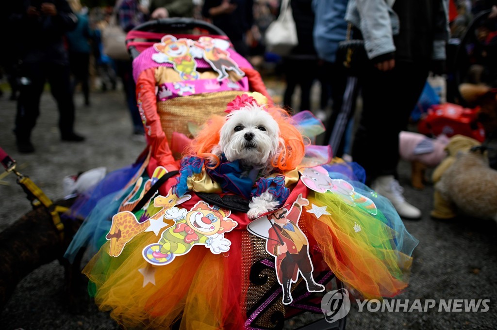 US-LIFESTYLE-HALLOWEEN-DOG