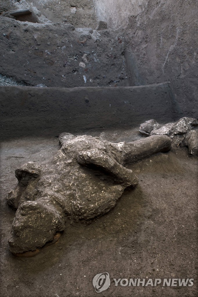 ITALY-ARCHAEOLOGY-HERITAGE-VOLCANO-ANTHROPOLOGY-POMPEII
