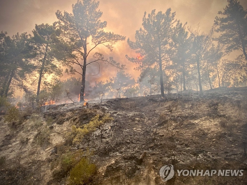 TURKEY-FIRE