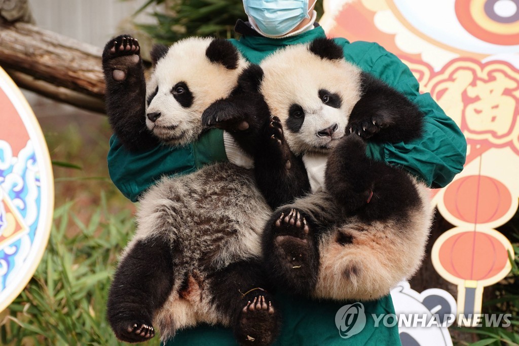 CHINA-LUNAR-NEW YEAR