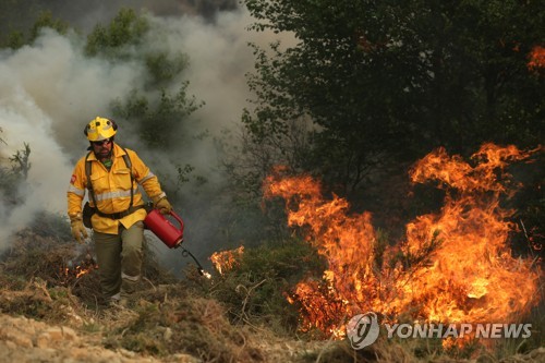 산불진압하는 포르투갈 소방관