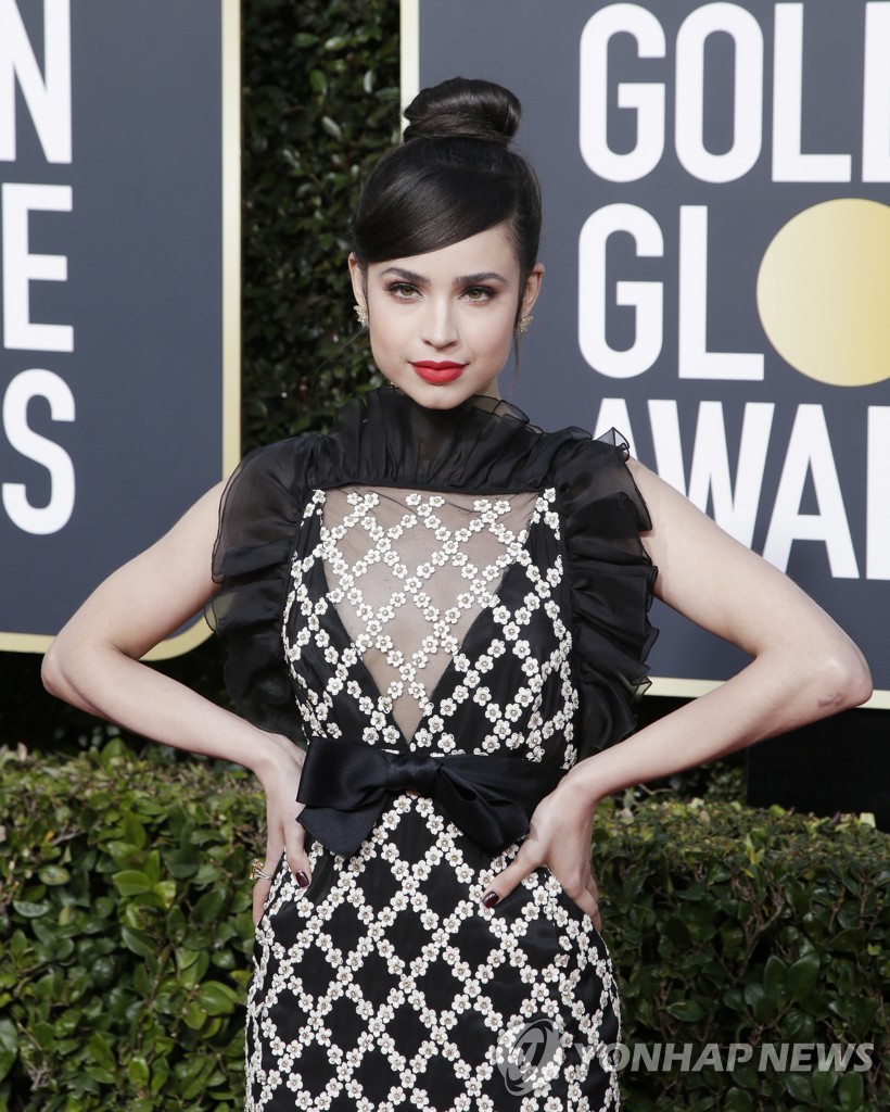 USA GOLDEN GLOBES 2019