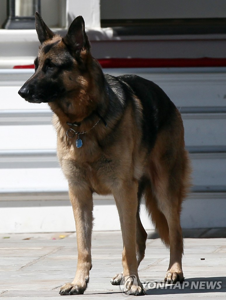FILES-US-POLITICS-BIDEN-DOGS