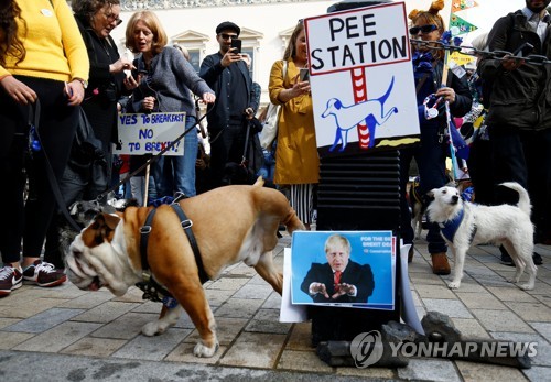 'WOOFERENDUM'행진에 참여한 반려견
