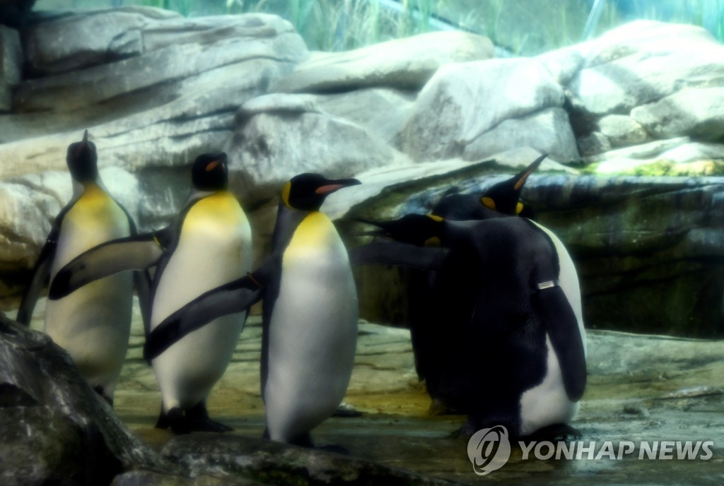 GERMANY-PENGUINS/