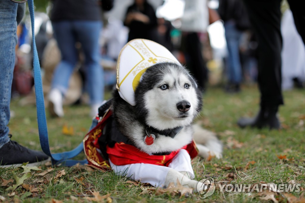 USA-HALLOWEEN/DOGS