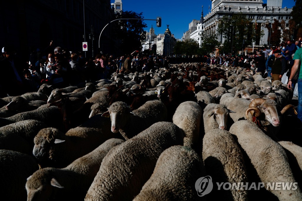 SPAIN-ANIMALS/