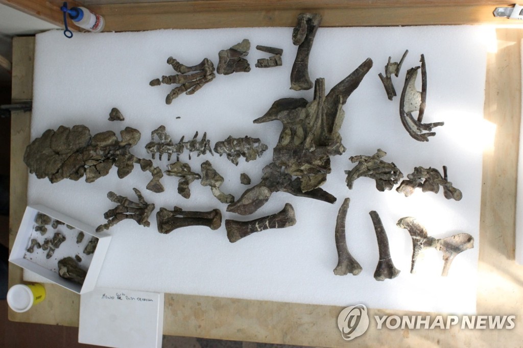 칠레 남단에서 발견된 공룡 화석