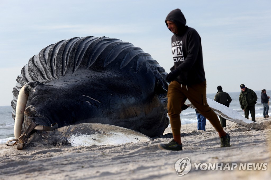 NEW YORK-WHALE/