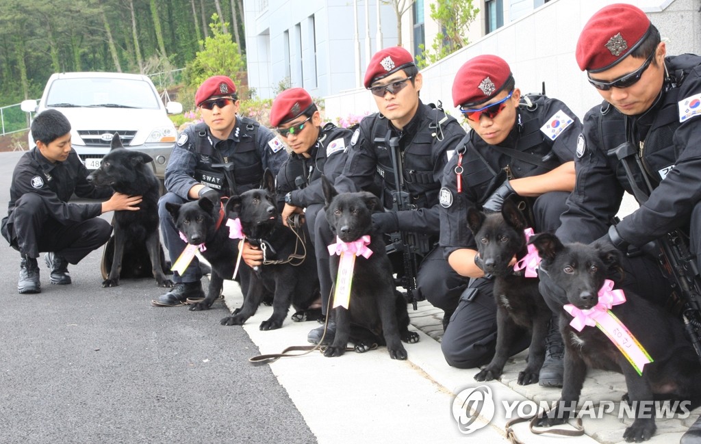 복제된 경찰 탐지견