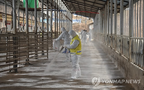 구제역 축사 방역소독