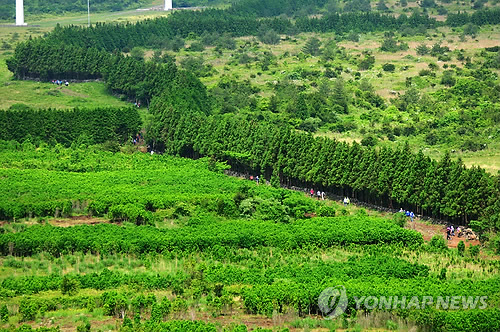 '말의 고장' 제주 가시리의 잣성길