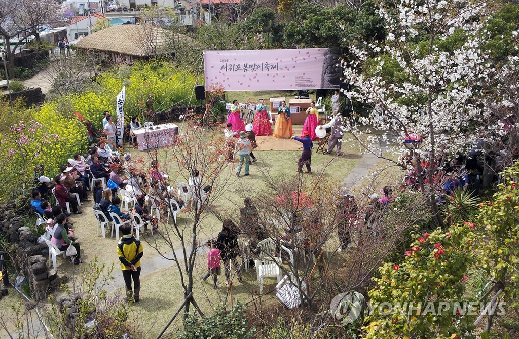 서귀포서 20일 개막하는 봄맞이축제[연합뉴스 자료사진]