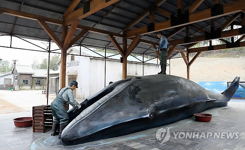 재현된 고래 해체 모습