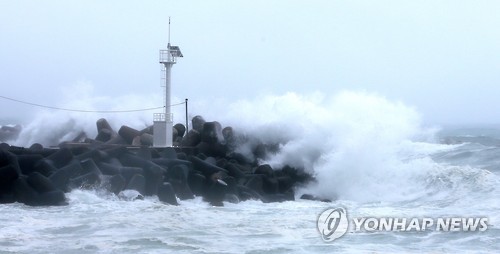 높은 물결