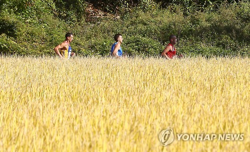 황금들녘을 달리는 군인