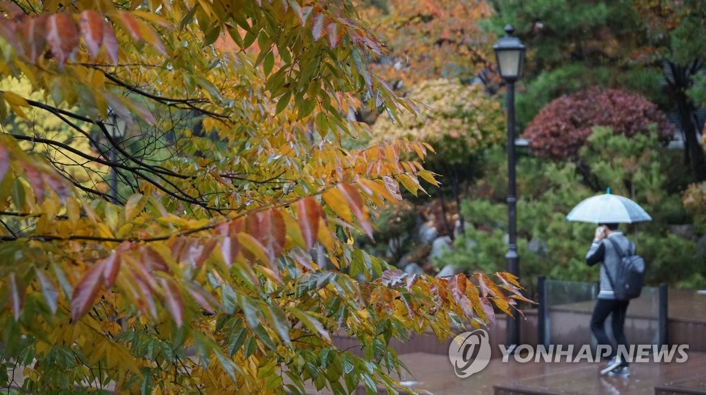 11월 한달 동안 비온 날이 절반…'역대 1위' - 1