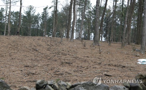 소나무서 농약성분 검출된 제주 임야