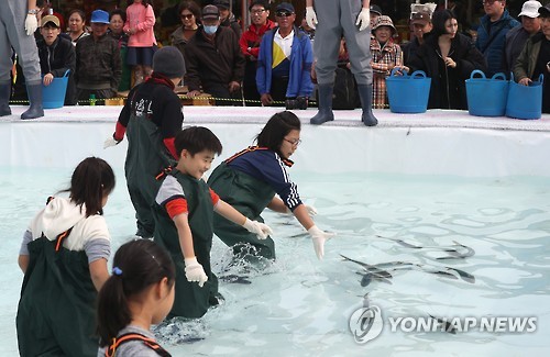 최남단 방어축제