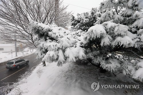 소한에 내리는 눈