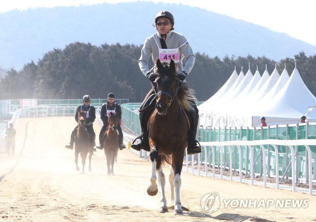 제주 산간서 펼쳐진 '말 마라톤'