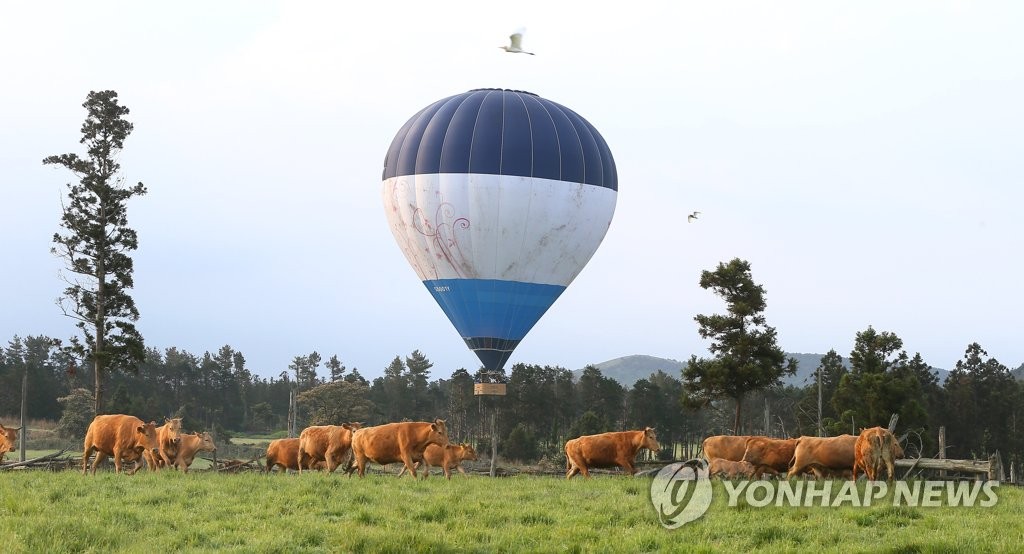 날아오른 열기구에 '화들짝'