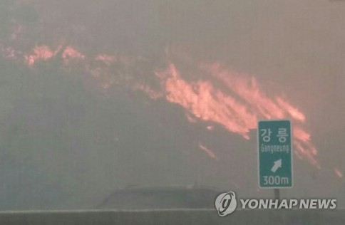 강릉 산불