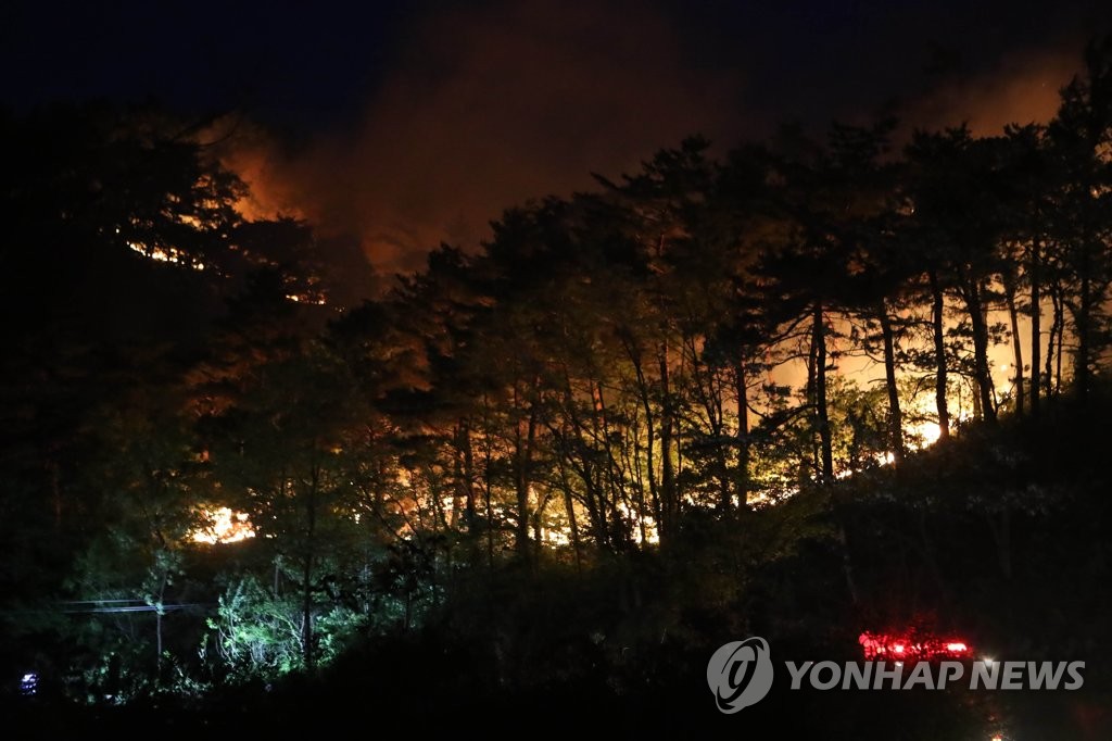 강릉 산불 재발화…강한 화세