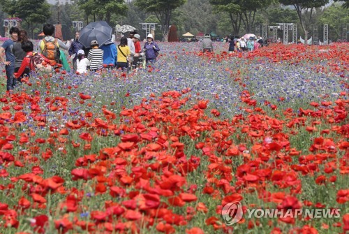 태화강 봄꽃 대향연