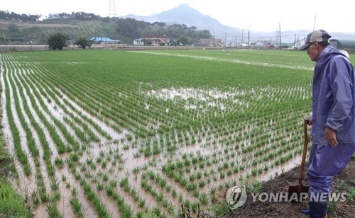 "논에 이 정도 물은 있어야지"