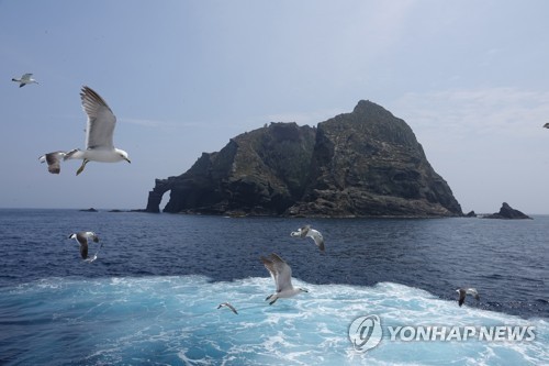 독도 갈매기