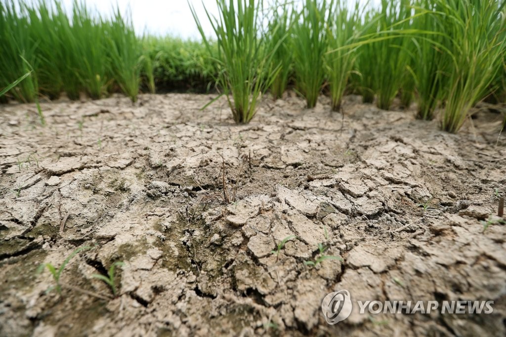 비다운 비는 언제