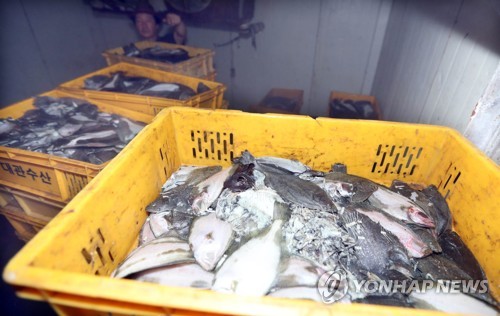 뜨거운 바다 물고기 떼죽음