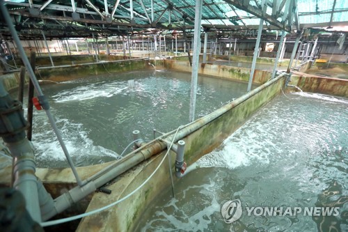 뜨거운 바다 육상양식장 비상
