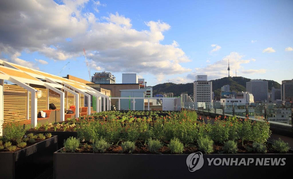 세운상가 서울옥상