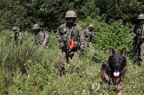 잊지 말고 상기하자