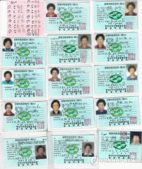 케이블카 개통으로 내몰리는 해녀촌 해녀들