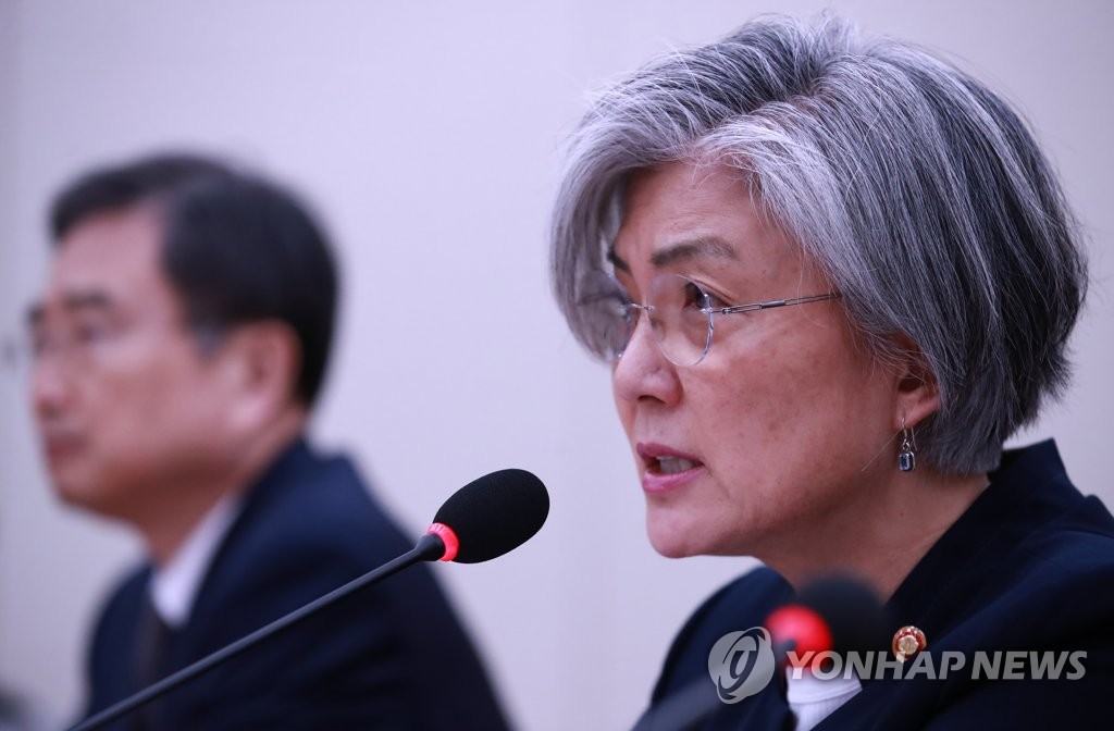 국감 답변하는 강경화 외교장관