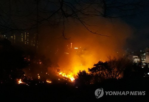 울산 동구 염포산 자락서 불