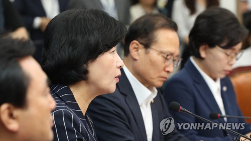 발언하는 추미애 대표