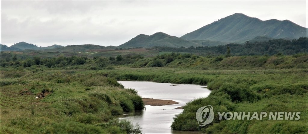 사천강 습지