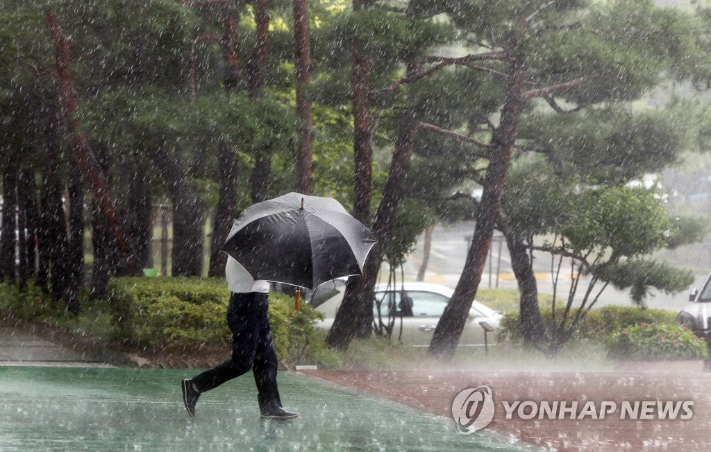 더위 식히는 소나기