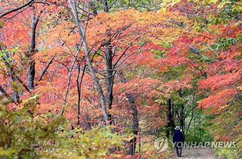 가을 깊숙이 가는 길