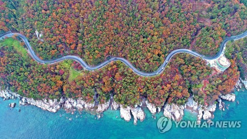 오색단풍과 푸른 바다가 빚어낸 풍경…남해 물미해안도로