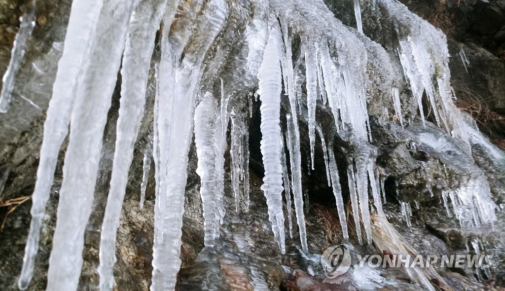 동장군에 대관령 고드름 꽁꽁
