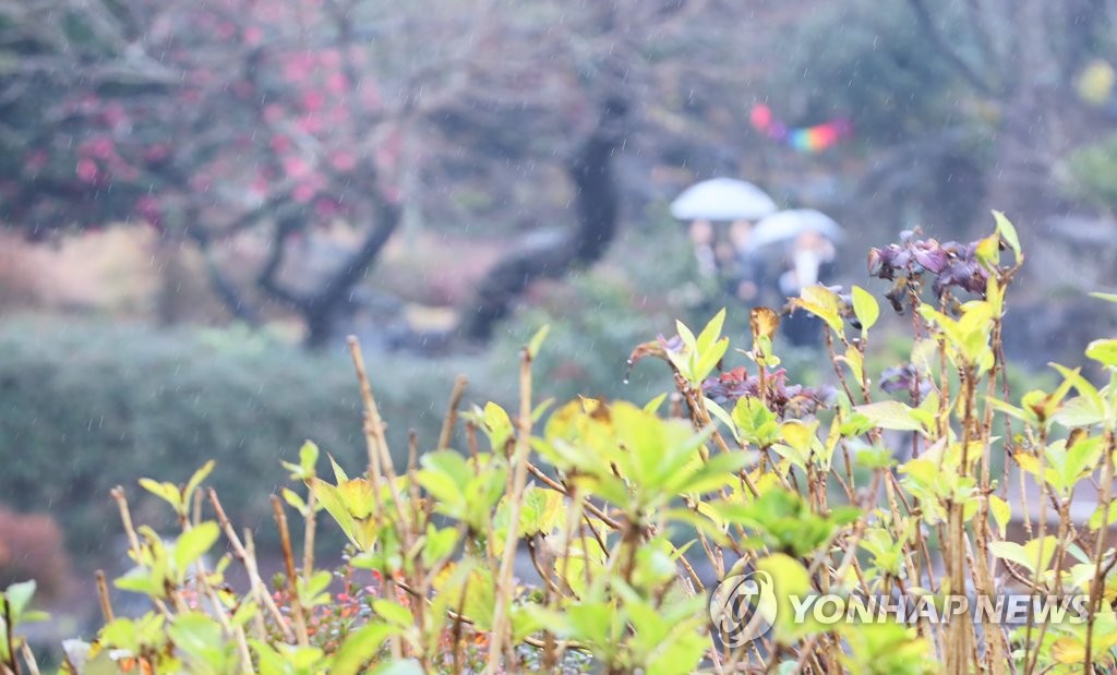 비 오는 관광지